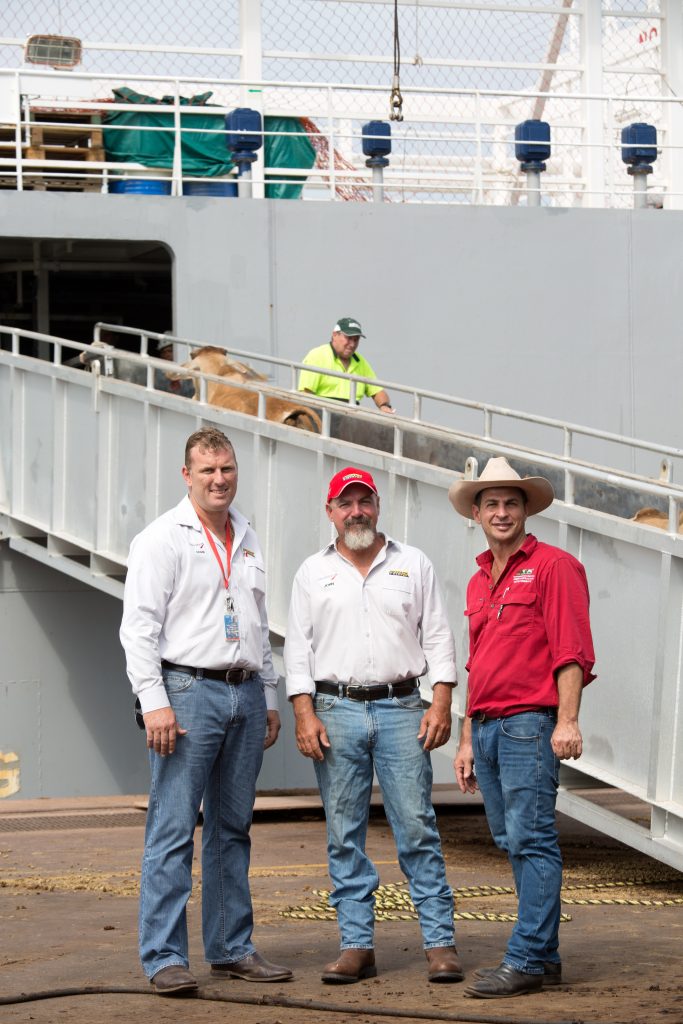 Patrick Stevedoring company personnel load live cattle at Darwin East Arm Port