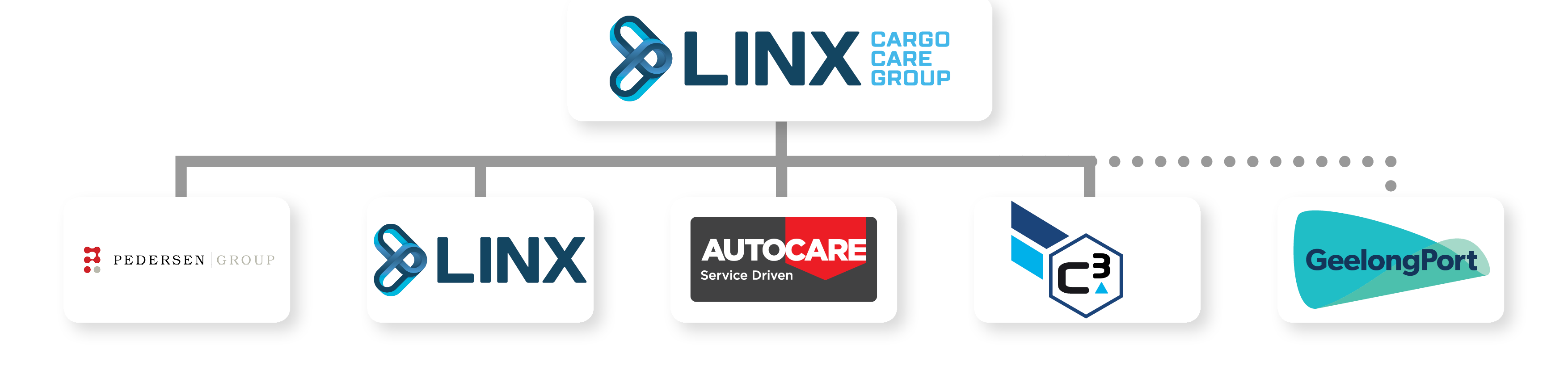LINX Cargo Care Group structure